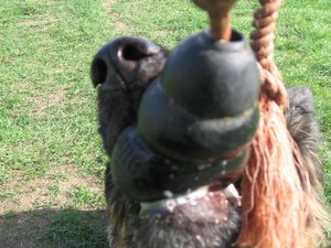 k-ostern2010neckar 011.jpg