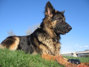 k-ostern2010neckar 041.jpg