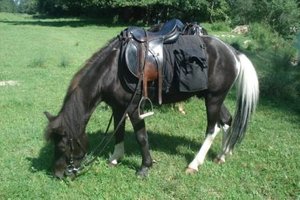 Sibylle Erni 029.JPG