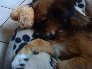 Handi 24.05.10 015.JPG