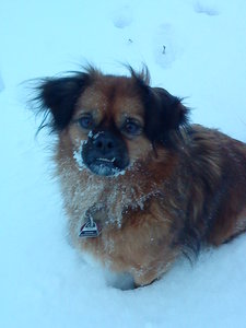 Handi 24.05.10 035.JPG