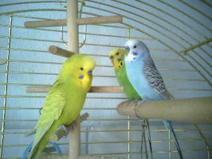 Pics vom Handy 146.jpg