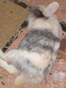 12062010217.JPG 12062010217.JPG