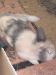 12062010218.JPG 12062010218.JPG