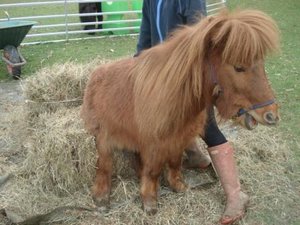 Sibylle Erni 023.JPG