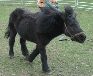 Sibylle Erni 082.JPG