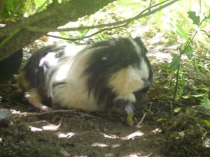 Kamerabilder 176.jpg