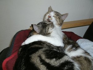 Kuscheln5.jpg