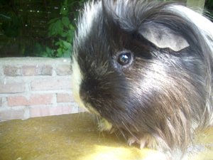 Kamerabilder 120.jpg