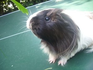 Kamerabilder 145.jpg