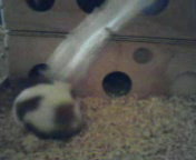 Kamerabilder 348.jpg