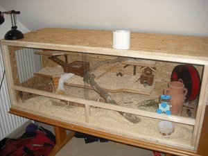 DSCF0345.JPG DSCF0345.JPG