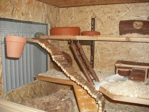 DSCF0347.JPG DSCF0347.JPG