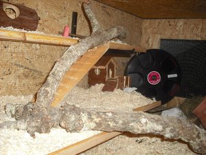 DSCF0348.JPG DSCF0348.JPG