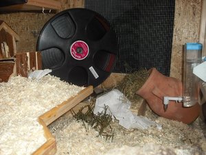 DSCF0349.JPG DSCF0349.JPG