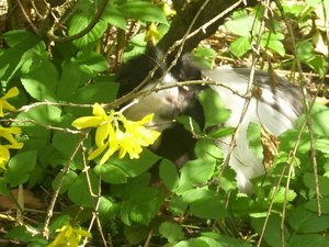 Kamerabilder 036.jpg