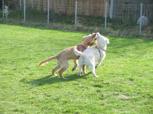 Randy 3.4.2010 und Luna 008.JPG