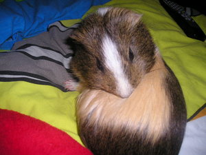 Tommy&MArie (423).JPG