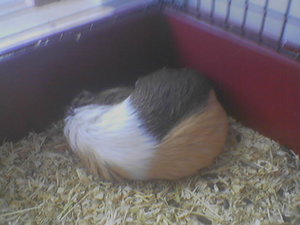 Tommy&MArie (490).jpg