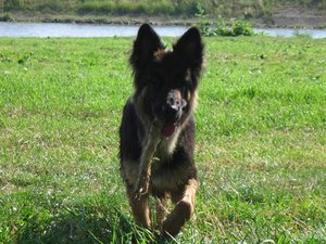 k-eintagamneckar 018.jpg