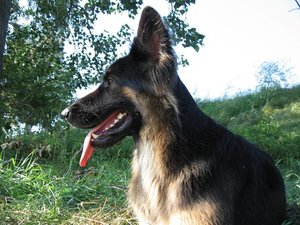 k-eintagamneckar 035.jpg