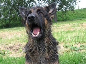 k-eintagamneckar 004.jpg