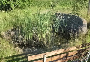 Teich3.jpg