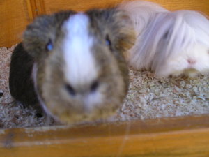 Tommy&MArie (496).JPG