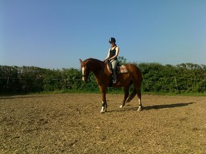 suanda&sirius dressur 097.jpg