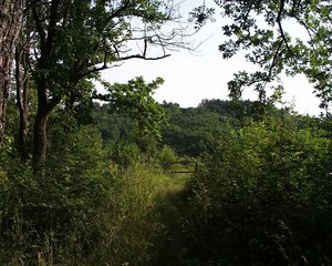 Bilstein 0606_ (5).JPG