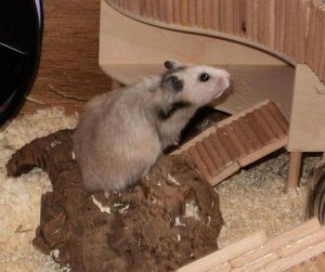 P6260186 - Kopie.JPG