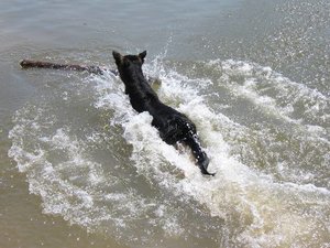 k-eintagamneckar 052.jpg