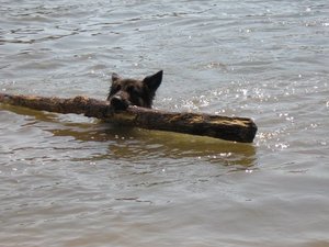 k-eintagamneckar 068.jpg