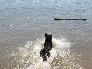 k-eintagamneckar 078.jpg