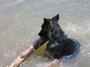 k-eintagamneckar 042.jpg