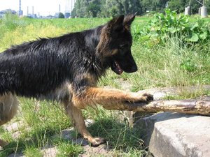 k-eintagamneckar 060.jpg