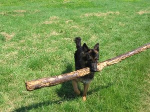 k-eintagamneckar 066.jpg k-eintagamneckar 066.jpg