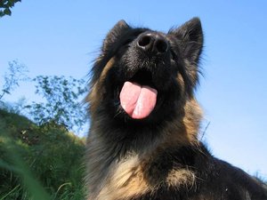 k-eintagamneckar 026.jpg