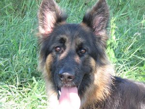 k-eintagamneckar 023.jpg