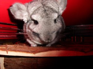 K640_SDC10424.JPG K640_SDC10424.JPG