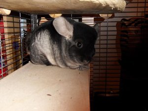 K640_SDC10422.JPG K640_SDC10422.JPG