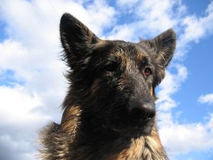 k-jimmyrosistudio 024.jpg