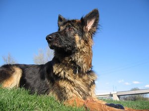 k-ostern2010neckar 039.jpg