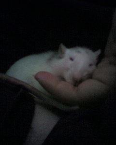 martin handy 1 033.jpg