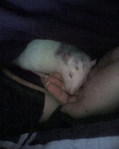 martin handy 1 032.jpg