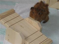 IMG_4479 (WinCE).jpg