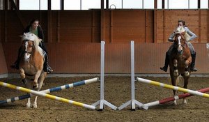 beide hÃ¼pf - Kopie.JPG