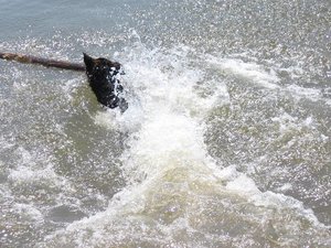 k-eintagamneckar 047.jpg