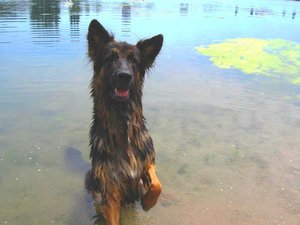 k-friesenheimerstrand1 088.jpg