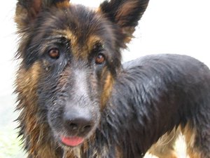 k-friesenheimerstrand1 005.jpg